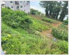  2025Ÿ��21381 �泲 �뿵�� �볲�� ���� 937      ����(��1)���