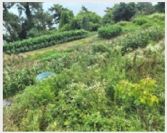  2025Ÿ��21381 �泲 �뿵�� �볲�� ���� 937      ����(��1)���