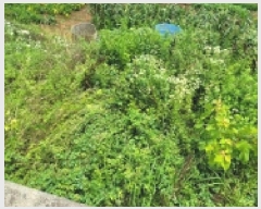  2025Ÿ��21381 �泲 �뿵�� �볲�� ���� 937      ����(��1)���