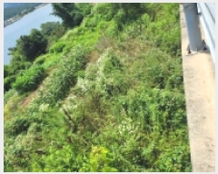  2025Ÿ��21381 �泲 �뿵�� �볲�� ���� 937      ����(��1)���