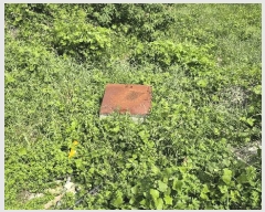  2025Ÿ21397 泲  Ͽ ġ 733      (1)