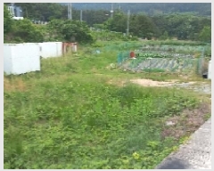  2025Ÿ21397 泲  Ͽ ġ 733      (1)