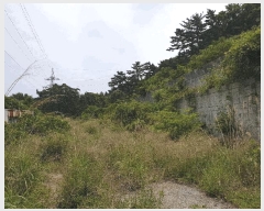  2025Ÿ��21443  �Ӿ߰��