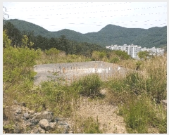  2025Ÿ��21443  �Ӿ߰��