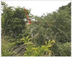  2025Ÿ��21443  �Ӿ߰��