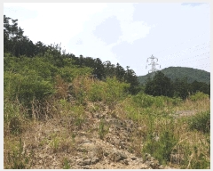  2025Ÿ��21443  �Ӿ߰��