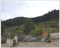  2025Ÿ��21443  �Ӿ߰��