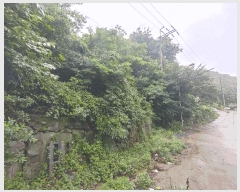  2025Ÿ��21475 �泲 ������ ������ ���븮 1019      ����(�Ӿ�)���