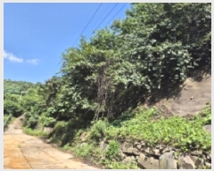  2025Ÿ��21475 �泲 ������ ������ ���븮 1019      ����(�Ӿ�)���