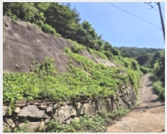  2025Ÿ��21475 �泲 ������ ������ ���븮 1019      ����(�Ӿ�)���