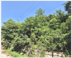  2025Ÿ��21475 �泲 ������ ������ ���븮 1019      ����(�Ӿ�)���