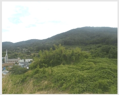  2025Ÿ��21483 �泲 ������ ���� �� 2031-15      ����(�Ӿ�)���