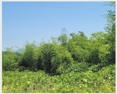  2025Ÿ��21483 �泲 ������ ���� �� 2031-15      ����(�Ӿ�)���