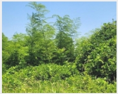  2025Ÿ��21483 �泲 ������ ���� �� 2031-15      ����(�Ӿ�)���