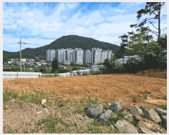  2025Ÿ��21492 �泲 ������ ������ ��122-4       ����(�Ӿ�)���