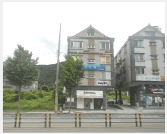  2025Ÿ��21531 �泲 ������ ���ֵ� 1670-3       �ܵ�����,�����ð��