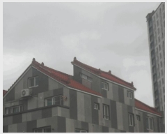  2025Ÿ��21531 �泲 ������ ���ֵ� 1670-3       �ܵ�����,�����ð��