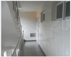  2025Ÿ��21531 �泲 ������ ���ֵ� 1670-3       �ܵ�����,�����ð��