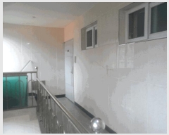  2025Ÿ��21531 �泲 ������ ���ֵ� 1670-3       �ܵ�����,�����ð��