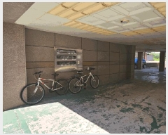  2025Ÿ��21548  �ٰ������ð��