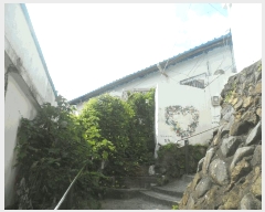  2025Ÿ��21574 �泲 �뿵�� ���� 447       �ܵ�����,�����ð��