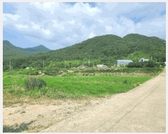  2025Ÿ��21605 �泲 ������ ������ 479-3       ����(��)���