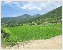  2025Ÿ��21605 �泲 ������ ������ 479-3       ����(��)���