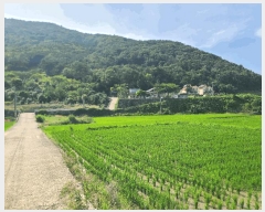  2025Ÿ��21605 �泲 ������ ������ 479-3       ����(��)���