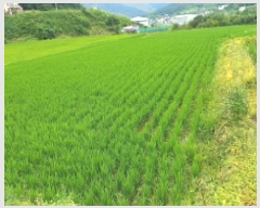  2025Ÿ��21605 �泲 ������ ������ 479-3       ����(��)���