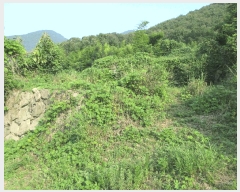  2025Ÿ21629 泲  û  394-1      (Ӿ)