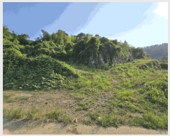  2025Ÿ21629 泲  û  394-1      (Ӿ)