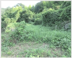  2025Ÿ21629 泲  û  394-1      (Ӿ)