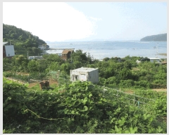  2025Ÿ21629 泲  û  394-1      (Ӿ)