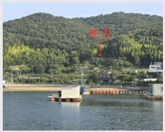  2025Ÿ21629 泲  û  394-1      (Ӿ)