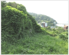  2025Ÿ21629 泲  û  394-1      (Ӿ)