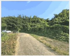  2025Ÿ21629 泲  û  394-1      (Ӿ)