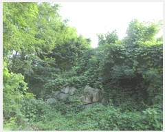  2025Ÿ21629 泲  û  394-1      (Ӿ)