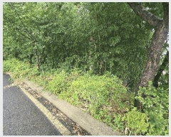  2025Ÿ��21645 �泲 ������ ���� �ù渮 195-2      ���(ķ����)���