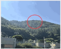  2025Ÿ��21680  ����