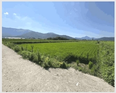  2025Ÿ��21680  ����