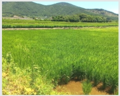  2025Ÿ��21680  ����