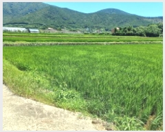  2025Ÿ��21680  ����