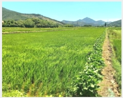  2025Ÿ��21680  ����