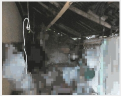  2025Ÿ��21719 �泲 ������ ���ϸ� ��õ�� 163      ���ð��