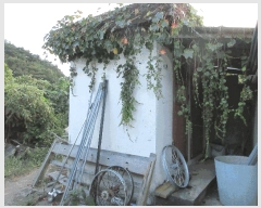  2025Ÿ��21719 �泲 ������ ���ϸ� ��õ�� 163      ���ð��