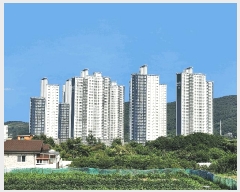  2025Ÿ��21767 �泲 ������ �Ͽ�� �������� 1412 �����ھƷ���ũ�帲 107�� 6��602ȣ   ����Ʈ���