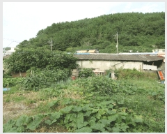  2025Ÿ��21775  ����