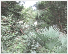  2025Ÿ��21775  ����