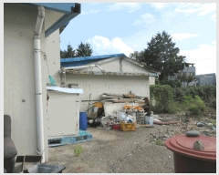  2025Ÿ��21775  ����