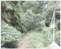  2025Ÿ��21775  ����